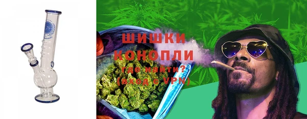 дживик Белокуриха
