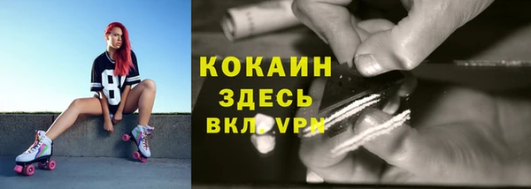 дживик Белокуриха