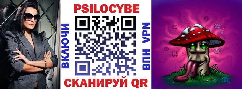 KRAKEN tor Бородино Галлюциногенные грибы Magic Shrooms купить