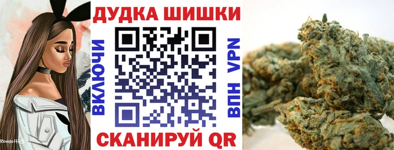 Бошки марихуана AK-47  где купить наркотик  darknet какой сайт  Бородино 
